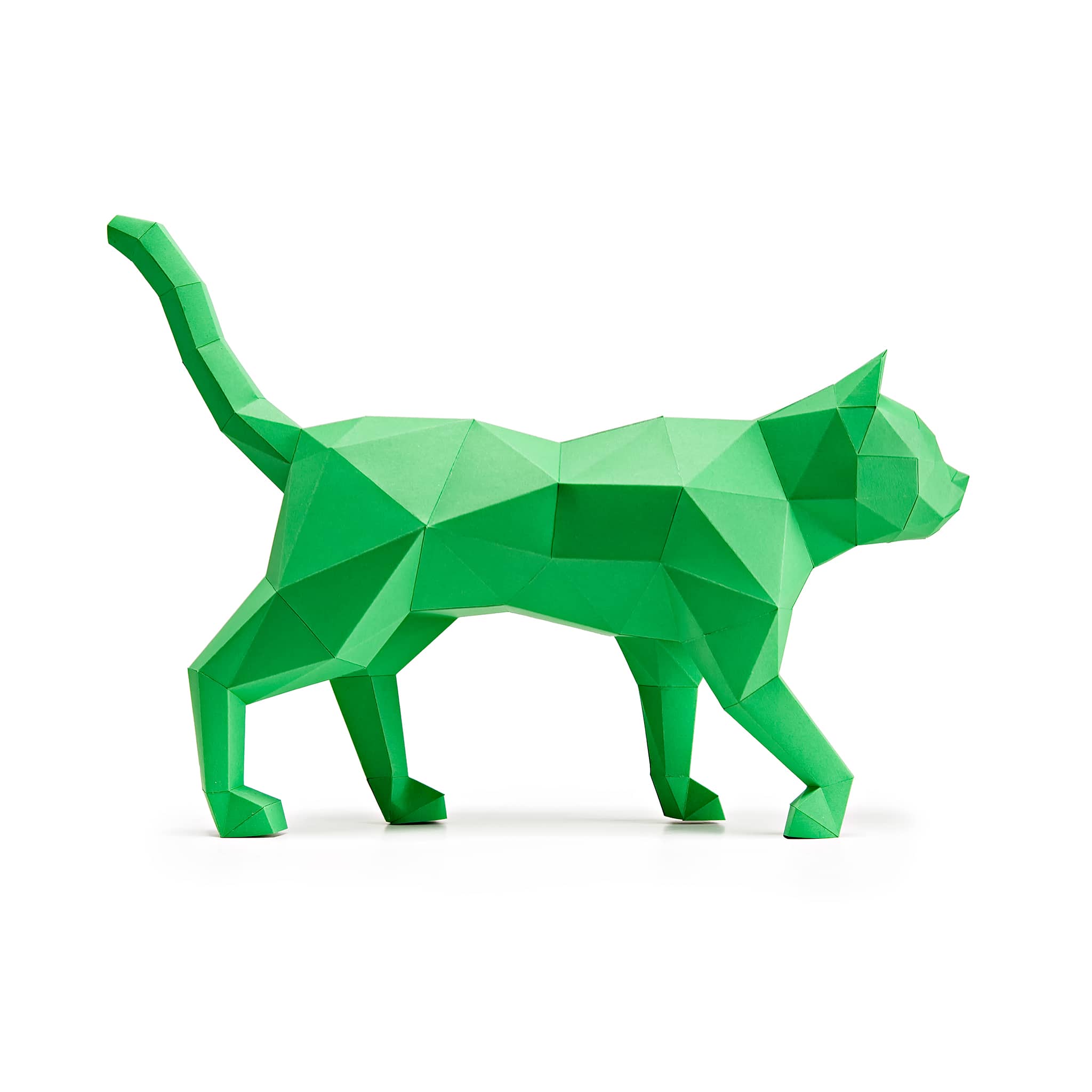 Gatto Verde - Lato