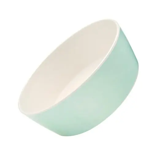 BECO - Classic Bowl - Mint - Large (main product photo)