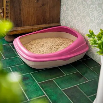 Immagine principale del prodotto Beco TRAY | Cassetta igienica eco-friendly per gatti disponibile presso il nostro store online mypetmall.net.