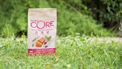 Immagine principale: Wellness CORE - Cibo Secco Per Gatti - Salmone - Sterilizzati - 1.75kg