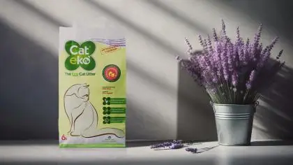 Immagine principale del prodotto Catekò - Lettiera Vegetale Ecologica Per Gatti (6 Litri)  - Lavanda disponibile presso il nostro store online mypetmall.net.