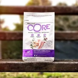 Immagine principale del prodotto Wellness CORE - Cibo Secco Per Gattini - Tacchino + Pollo - Gattini - 300gr. 