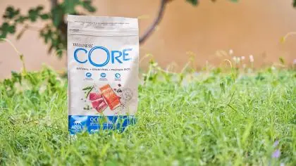 Immagine principale: Wellness CORE - Cibo Secco Per Gatti - Salmone e Tonno - Adulti - 1.75kg