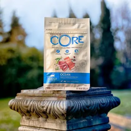 Immagine principale del prodotto Wellness CORE - Cibo Secco Per Gatti - Salmone e Tonno - Adulti - 300gr.  disponibile presso il nostro store online mypetmall.net.