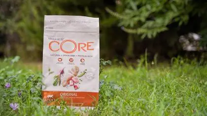 Immagine principale: Wellness CORE - Cibo Secco Per Gatti - Tacchino e Pollo - Adulti - 1.75kg