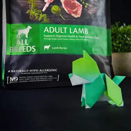 Immagine principale del prodotto Wellness CORE - Cibo Secco Per Cani - Agnello - Adulti - 10kg disponibile presso il nostro store online mypetmall.net.