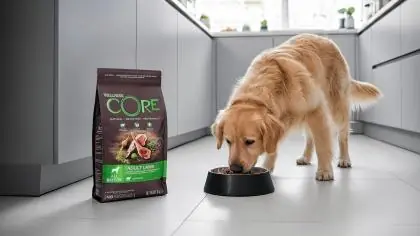 Immagine principale: Wellness CORE - Cibo Secco Per Cani - Agnello - Adulti - 10kg