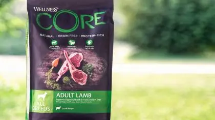 Immagine principale: Wellness CORE - Cibo Secco Per Cani - Agnello - Adulti - 1.8kg