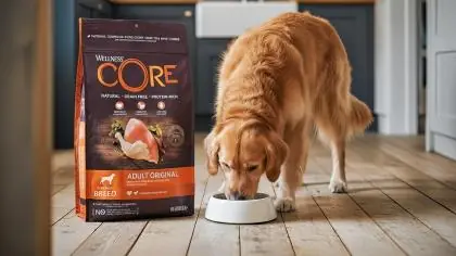 Immagine principale: Wellness CORE - Cibo Secco Per Cani - Tacchino e Pollo - Adulti - 10kg