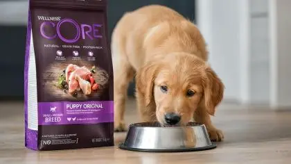 Immagine principale: Wellness CORE - Cibo Secco Per Cani - Tacchino e Pollo - Cuccioli - 1.5kg