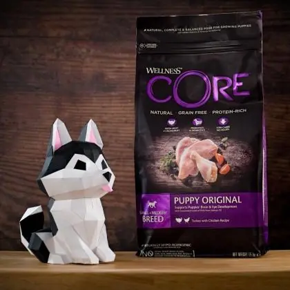 Immagine principale del prodotto Wellness CORE - Cibo Secco Per Cani - Tacchino e Pollo - Cuccioli - 1.5kg disponibile presso il nostro store online mypetmall.net.