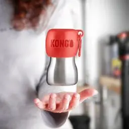 Immagine principale del prodotto KONG - H2O Stainless Steel Water Bottle - 280 ml - Red