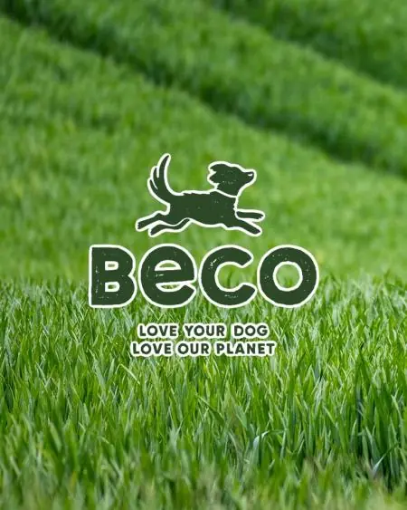 becopets.hero-image@wide-min.webp